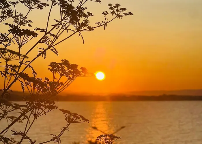 Διαμέρισμα Elit 4